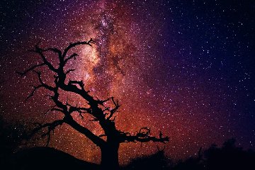 Tree of the Universe (Mauna Kea, Big Island, Hawaii) Panorama - Peter Lik Tree of the Universe (Mauna Kea, Big Island, Hawaii) Panorama - Peter Lik