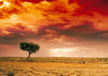 Dreamland (Innamincka, South Australia) Panorama - Peter Lik Dreamland (Innamincka, South Australia) Panorama - Peter Lik