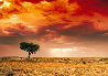 Dreamland 1.5M - Huge - Innamincka, South Australia Panorama by Peter Lik - 2