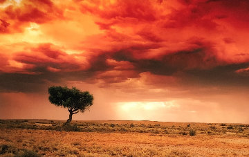 Dreamland (InnamIncka, South Australia) 2.M Super Huge Panorama - Peter Lik Dreamland (InnamIncka, South Australia) 2.M Super Huge Panorama - Peter Lik