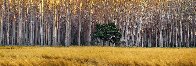 Golden Silence 2M Super Huge Panorama by Peter Lik - 1 Golden Silence 2M Super Huge Panorama by Peter Lik - 1