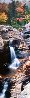 Screw Auger Falls 2M Super Huge Panorama by Peter Lik - 0 Screw Auger Falls 2M Super Huge Panorama by Peter Lik - 0
