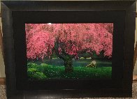 Tree of Dreams (Washington State) Panorama by Peter Lik - 2 Tree of Dreams (Washington State) Panorama by Peter Lik - 2