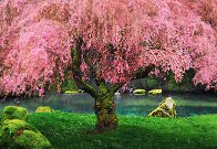 Tree of Dreams (Washington State) Panorama by Peter Lik - 0 Tree of Dreams (Washington State) Panorama by Peter Lik - 0