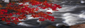 River of Zen 1.5M Huge Panorama - Peter Lik River of Zen 1.5M Huge Panorama - Peter Lik