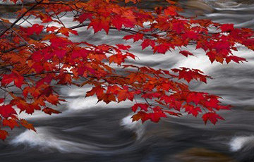 River of Zen Panorama - Peter Lik River of Zen Panorama - Peter Lik