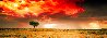 Dreamland 1M  - Huge - Innamincka, Australia Panorama by Peter Lik - 0