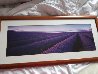 Lavender - Tasmania Panorama by Peter Lik - 2