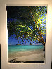 Sweet Escape 1M  - Oahu, Hawaii Panorama by Peter Lik - 1