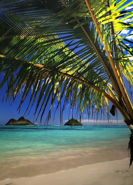 Sweet Escape Panorama by Peter Lik