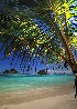 Sweet Escape Panorama by Peter Lik - 0