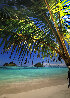 Sweet Escape 1M  - Oahu, Hawaii Panorama by Peter Lik - 0