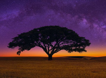 Celestial Dream 2M Super Huge! Panorama - Peter Lik Celestial Dream 2M Super Huge! Panorama - Peter Lik