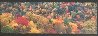 Virginia Panorama by Peter Lik - 1 Virginia Panorama by Peter Lik - 1
