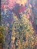 Virginia Panorama by Peter Lik - 2 Virginia Panorama by Peter Lik - 2