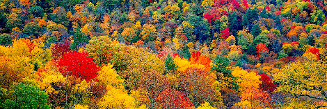 Virginia - Shenandoah National Park Panorama - Peter Lik