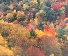 Virginia Panorama by Peter Lik - 3 Virginia Panorama by Peter Lik - 3