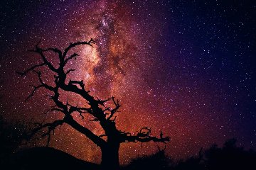 Tree of the Universe (Mauna Kea, Big Island, Hawaii) Panorama - Peter Lik Tree of the Universe (Mauna Kea, Big Island, Hawaii) Panorama - Peter Lik