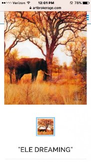 Elle Dreaming Panorama - Peter Lik Elle Dreaming Panorama - Peter Lik