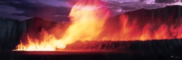 Cane Fire AP 2M Super Huge Panorama - Peter Lik Cane Fire AP 2M Super Huge Panorama - Peter Lik