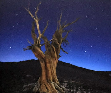 Starry Night Panorama - Peter Lik Starry Night Panorama - Peter Lik