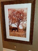 Elle Dreaming Panorama by Peter Lik - 1 Elle Dreaming Panorama by Peter Lik - 1