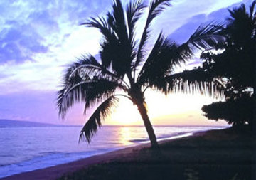Island Escape (Baby Beach, Maui, Hawaii) Panorama - Peter Lik Island Escape (Baby Beach, Maui, Hawaii) Panorama - Peter Lik