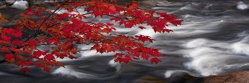 River of Zen (Telluride, Colorado) 1.5M Huge Panorama - Peter Lik River of Zen (Telluride, Colorado) 1.5M Huge Panorama - Peter Lik