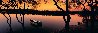 River 1.5M Huge Panorama by Peter Lik - 2 River 1.5M Huge Panorama by Peter Lik - 2