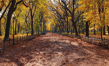 Central Park (Manhattan, NY) 1.5M Huge Panorama - Peter Lik Central Park (Manhattan, NY) 1.5M Huge Panorama - Peter Lik