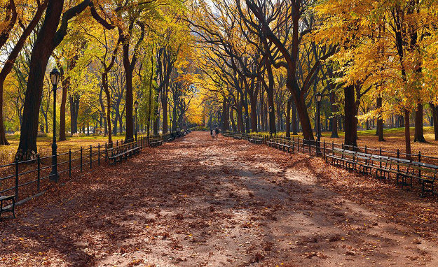 Central Park (Manhattan, NY) 1.5M Huge Panorama by Peter Lik Central Park (Manhattan, NY) 1.5M Huge Panorama by Peter Lik