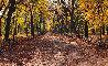 Central Park (Manhattan, NY) 1.5M Huge Panorama by Peter Lik - 0 Central Park (Manhattan, NY) 1.5M Huge Panorama by Peter Lik - 0