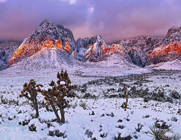 Desert Glow (Las Vegas, Nv) 1.5M Huge Panorama - Peter Lik Desert Glow (Las Vegas, Nv) 1.5M Huge Panorama - Peter Lik