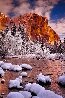 Winter Tower 1M - Recess Mount - Yosemite, California Panorama by Peter Lik - 0