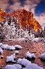 Winter Tower - Yosemite - California - Recess Mount Panorama by Peter Lik - 0
