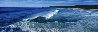 Noosa Swell 1.5M Huge - Australia - Recess Mount Panorama by Peter Lik - 0