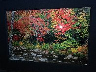 A Quiet Moment AP Panorama by Peter Lik - 1 A Quiet Moment AP Panorama by Peter Lik - 1