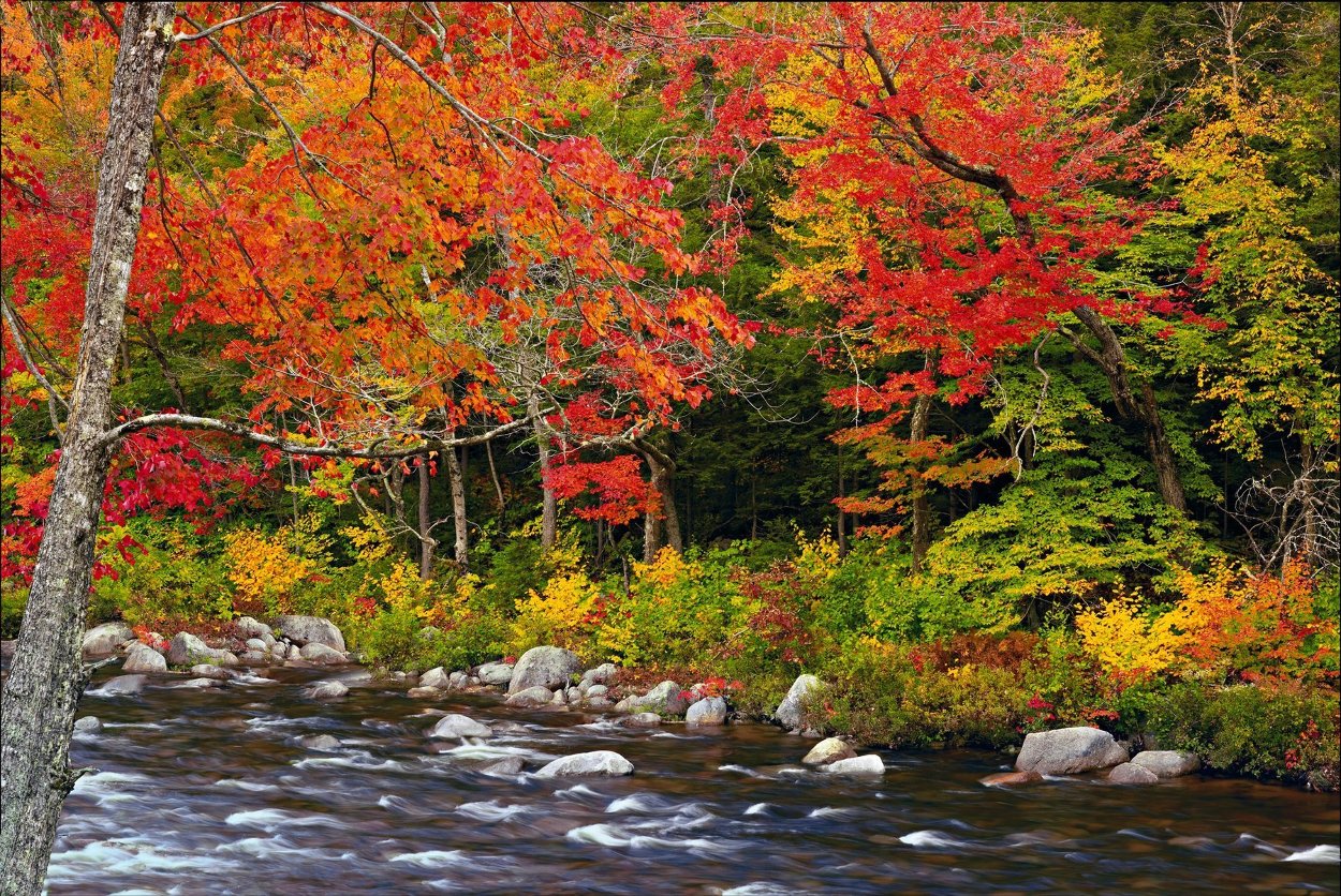 A Quiet Moment AP Panorama by Peter Lik A Quiet Moment AP Panorama by Peter Lik