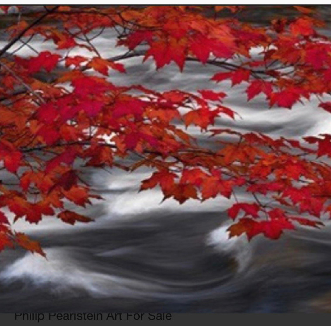 River of Zen 1.5M Huge! Panorama by Peter Lik River of Zen 1.5M Huge! Panorama by Peter Lik
