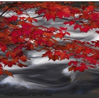 River of Zen 1.5M Huge! Panorama - Peter Lik River of Zen 1.5M Huge! Panorama - Peter Lik