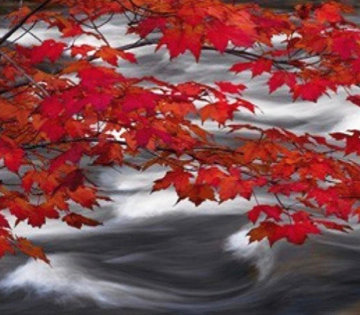 River of Zen Panorama - Peter Lik River of Zen Panorama - Peter Lik