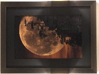 Moonlit Dreams Panorama by Peter Lik - 1 Moonlit Dreams Panorama by Peter Lik - 1