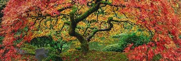 Autumn Spirit 2M Super Huge Panorama - Peter Lik Autumn Spirit 2M Super Huge Panorama - Peter Lik