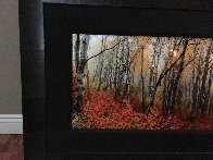Autumn Mist 1.5M Huge Panorama by Peter Lik - 2 Autumn Mist 1.5M Huge Panorama by Peter Lik - 2