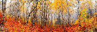 Autumn Mist 1.5M Huge Panorama by Peter Lik - 0 Autumn Mist 1.5M Huge Panorama by Peter Lik - 0