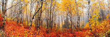 Autumn Mist 1.5M Huge Panorama - Peter Lik Autumn Mist 1.5M Huge Panorama - Peter Lik