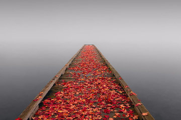 Secret Morning Panorama - Peter Lik Secret Morning Panorama - Peter Lik