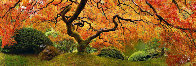 Tree of Zen 2M Huge Panorama by Peter Lik - 0