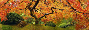 Tree of Zen 2M Huge Panorama - Peter Lik