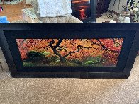 Tree of Zen 2M Super Huge Panorama by Peter Lik - 2 Tree of Zen 2M Super Huge Panorama by Peter Lik - 2